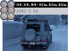 10年、15年、20年 / 10万km、20万km、30万km AMG G 36 
