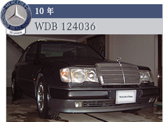 10年 WDB 124036