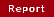 Report