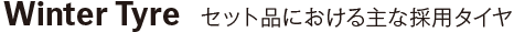主な推奨ウィンタータイヤのご紹介