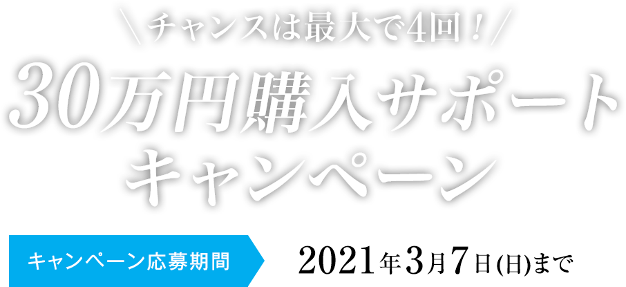 30万円購入サポートキャンペーン