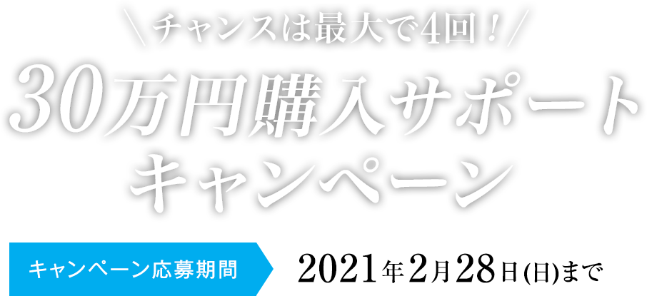 30万円購入サポートキャンペーン