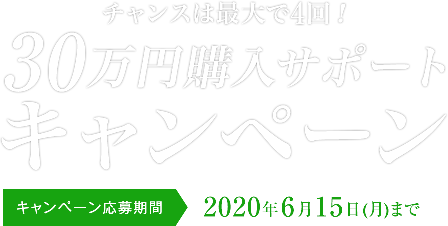 30万円購入サポートキャンペーン