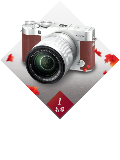 メルセデスと見たい秋賞 富士フイルム 「FUJIFILM X-A3」レンズキット