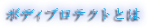 ボディプロテクトとは